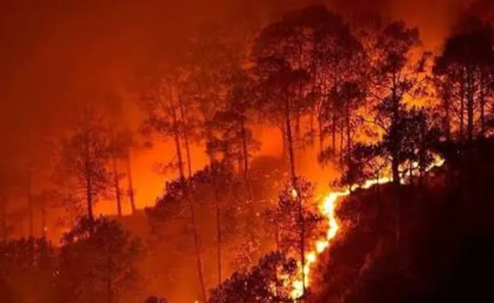 Karhutla: Tebang Bakar, Asap, ISPA, dan Air Mata