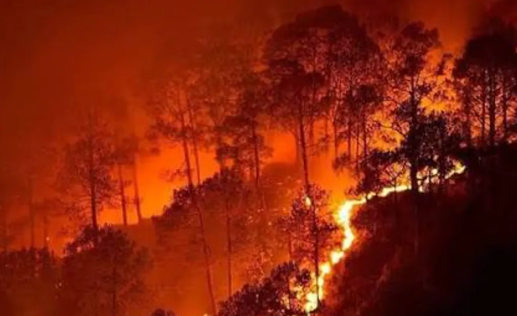 Karhutla: Tebang Bakar, Asap, ISPA, dan Air Mata